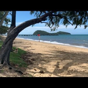 Meet your Posher, Terri